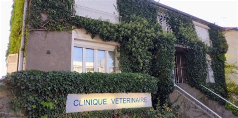 Cliniques Vétérinaires Metz 57000